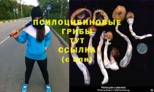 амф Абаза