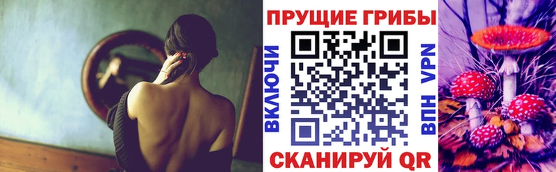 Галлюциногенные грибы мицелий как найти гидра сайт Ишимбай